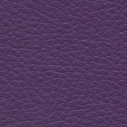 violet-2344.jpg